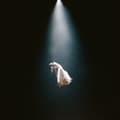 Miniatyrbild 1 av 2: Ariana Grande - Eternal Sunshine Deluxe - Brighter Days Ahead (CD) (CD)
