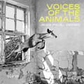 Miniatyrbillede 2 af 2: Jean-Paul Dessy - Voices Of The Animals (CD)