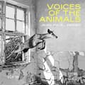Miniatyrbillede 1 af 2: Jean-Paul Dessy - Voices Of The Animals (CD)