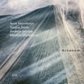 Miniatyrbillede 2 af 2: Arve Henriksen Trygve Seim Anders - Arcanum (CD)