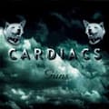 Miniatyrbilde 1 av 2: Cardiacs - Guns (CD)