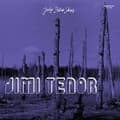 Miniatyrbillede 1 af 2: Jimi Tenor & Cold Diamond & Mink - July Blue Skies (CD)