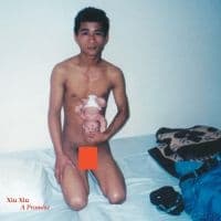 Xiu Xiu - A Promise (CD)