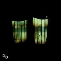 Divide And Dissolve - Insatiable (CD)