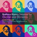 Miniatyrbillede 1 af 2: Daniel Ottensamer - Brahms & Koncz: Sonatas For Clarine (CD)