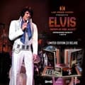 Miniatyrbillede 1 af 2: Presley Elvis - Las Vegas - Down In The Alley Openi (CD)