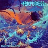 Haxprocess - Beyond What Eyes Can See (Digipack) (CD)