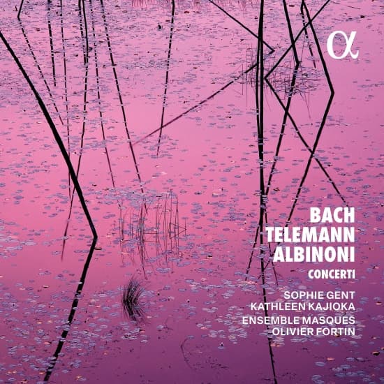 Ensemble Masques - Bach, Telemann & Albinoni: Concerti (CD)