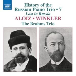 The Brahms Trio - History Of The Russian Piano Trio, (CD)