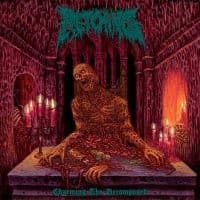 Retching - Charming The Decomposed (Digipack) (CD)
