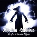 Pikkukuva 2 / 2: Inkubus Sukkubus - She Of A Thosand Names (CD)