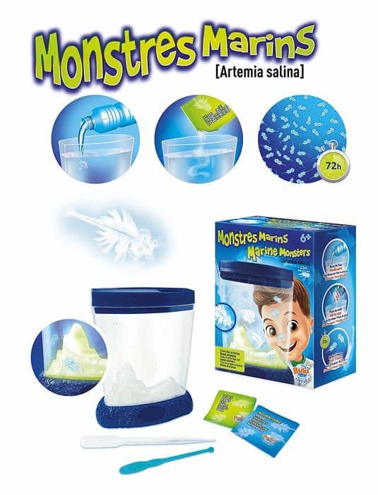 Sea Monsters - BUKI FRANCE - Inomhusbruk - Barn - Vetenskap och spel
