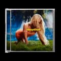 Miniatyrbilde 1 av 2: Zara Larsson - Midnight Sun (CD)
