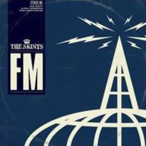 The Skints - Fm [Vinyl]