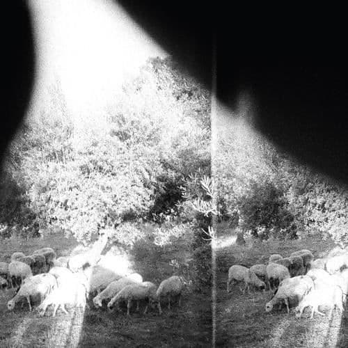 Godspeed dig! Black Emperor - Asunder Sweet and Other Distress