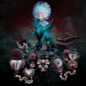 Bjork - Fossora (MC)