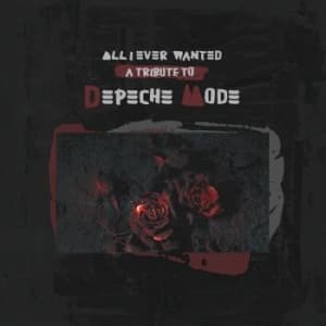 Blandade Artister - All I Ever Wanted - A Tribute To De (MC)