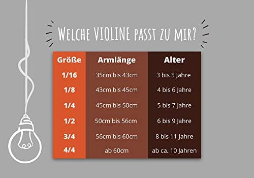 Viulu Classic Cantabile VP-100  4/4