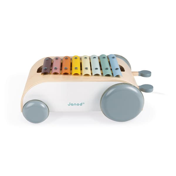 Janod Sweet Cocoon Xylo Roller Flerfarvet 18 Months-99 Years