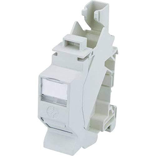 Telegärtner Telegaertner DIN-skinnestik CAT 6a J00023A0206 RJ45 koblingshus grå 1 stk. Grå
