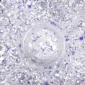 Miniatyrbild 2 av 3: Glitter - Mix - Princess - 01