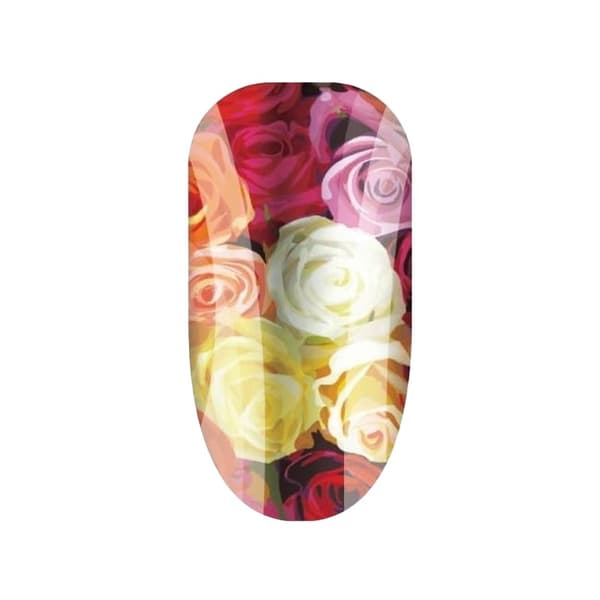 Bunches Of Love Roses Nail Wraps Multicoloured One Size