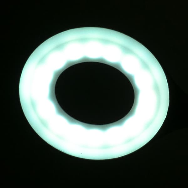 Ring LED slangebordslampe, hvid