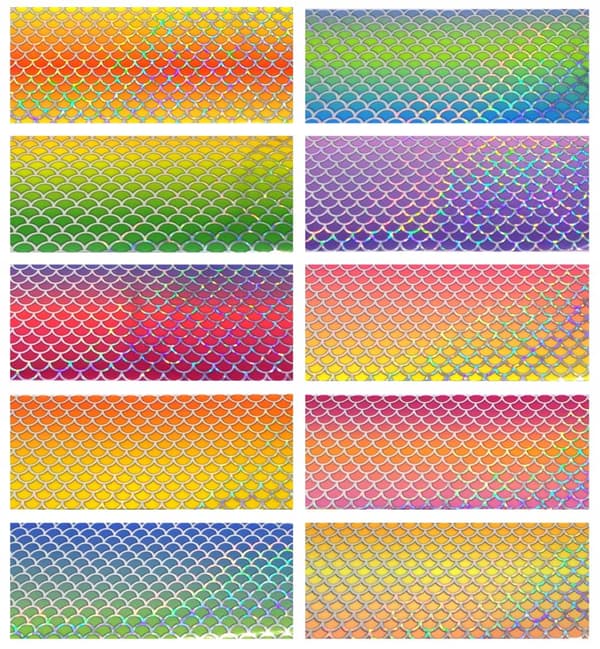 SIIRTOFOLIO 10cm x 4cm MERENNEITO, SIMPUKKA, OMBRE