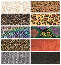 Miniatyrbild 5 av 11: Transferfolie 10 cm x 4 cm leopardprickig holografisk