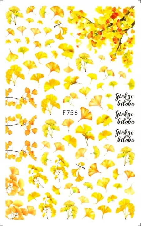 Kynsienkoristelutarrat Ginkgo-kuviot