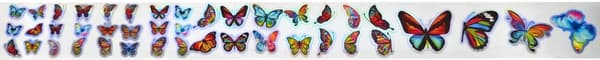 Kynsien siirtofolio 40cm x 4cm Butterflies Holo
