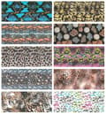 Miniatyrbild 7 av 11: TRANSFERFOIL för naglar 10cmx4cm SNAKE