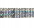 Pikkukuva 2 / 11: Kynsien siirtofolio 10cm x 4cm Holo Snake