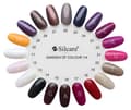 Miniatyrbild 2 av 11: Silcare - Garden of Colour - Nagellack - 145 - 15 ml