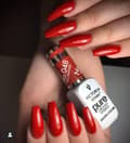 Miniatyrbild 7 av 10: Victoria Vynn - Pure Creamy - 048 Red Obsessed - Gellack