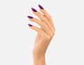 Miniatyrbild 6 av 6: Victoria Vynn - Pure Creamy - 167 Positive Vibes - Gellack