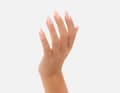 Miniatyrbild 4 av 5: Victoria Vynn - Pure Creamy - 200 Office Style - Gellack
