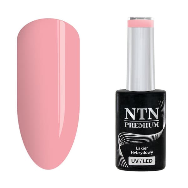 NTN Premium - Gellakk - California - Nr141 - 5g UV gel/LED
