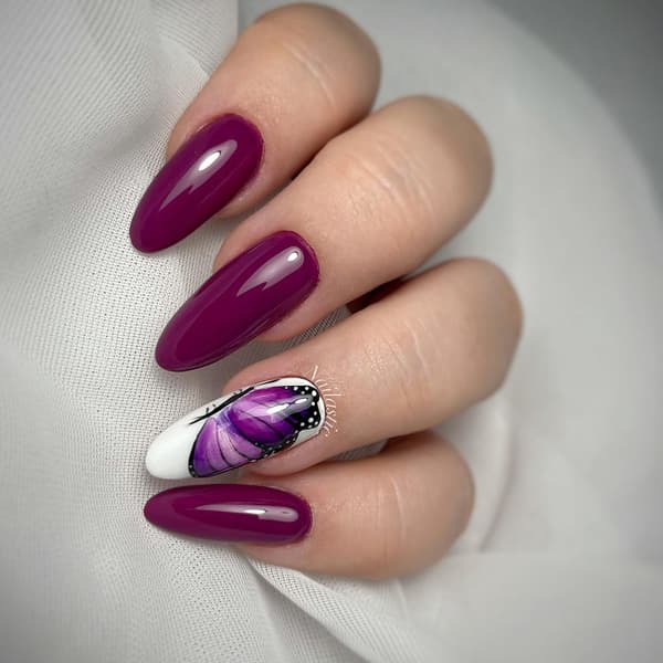 NTN Premium - Gel polish - After Midnight - Nr64 - 5g UV gel/LED