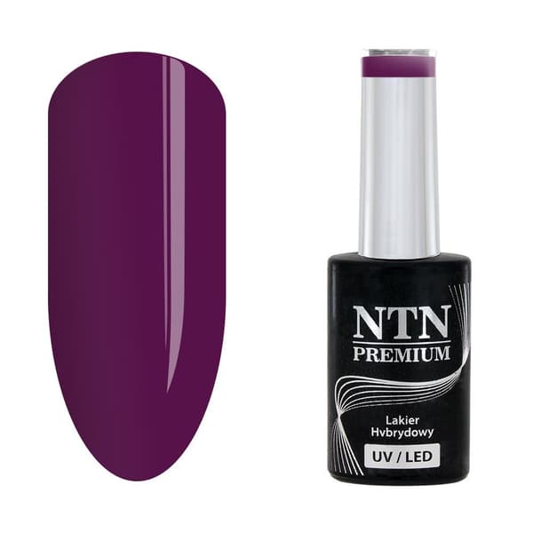 NTN Premium - Gel polish - After Midnight - Nr64 - 5g UV gel/LED