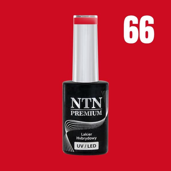 NTN Premium - Gel polish - After Midnight - Nr66 - 5g UV gel/LED