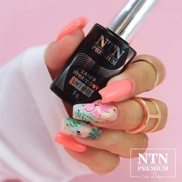NTN Premium - Gel polish - Celebration - Nr164 - 5g UV gel/LED