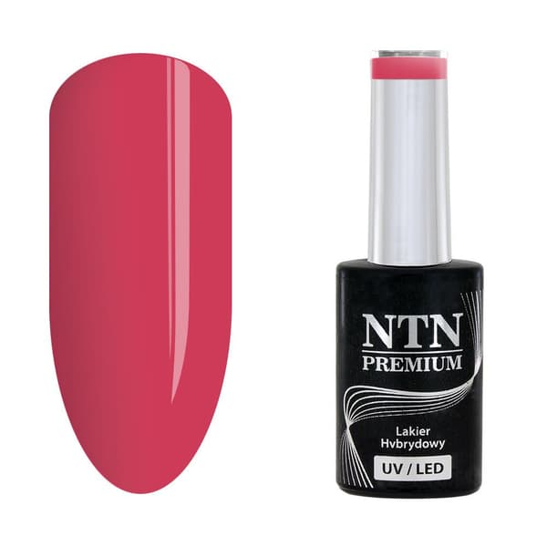 NTN Premium - Gellack - Celebration - Nr165 - 5g UV-gel/LED
