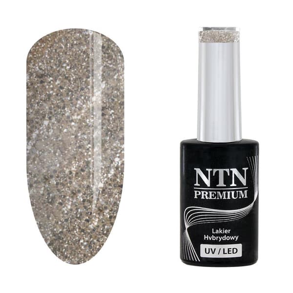 NTN Premium - Geelilakka - Celebration - Nr169 - 5g UV geeli/LED