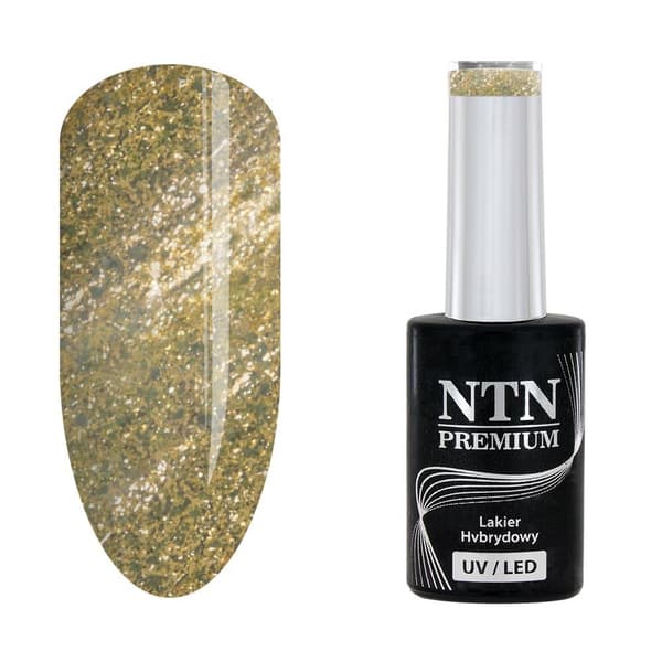NTN Premium - Geelilakka - Celebration - Nr170 - 5g UV geeli/LED