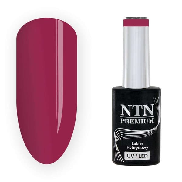 NTN Premium - Gel polish - Passion for Love - Nr207 - 5g UV gel/LED