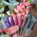 Miniatyrbild 4 av 4: Victoria Vynn - Gel Polish - 331 Green Boogie - Gellack