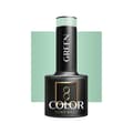 Miniatyrbild 1 av 3: OCHO NAILS Hybrid nagellack grönt 708 -5 g