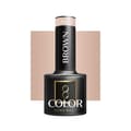 Miniatyrbild 1 av 3: OCHO NAILS Hybrid nagellack brunt 801 -5 g