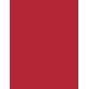 Max Factor 12ml Priyanka Miracle Pure Bold Cherry 360 graders nagellack